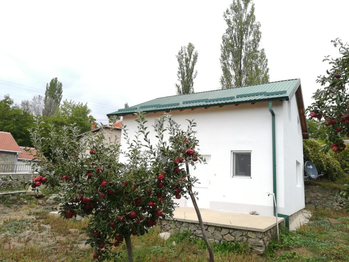 Villa Lila Dolno Dupeni Dış mekan fotoğraf
