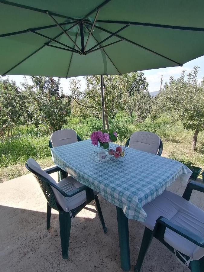 Villa Lila Dolno Dupeni Dış mekan fotoğraf
