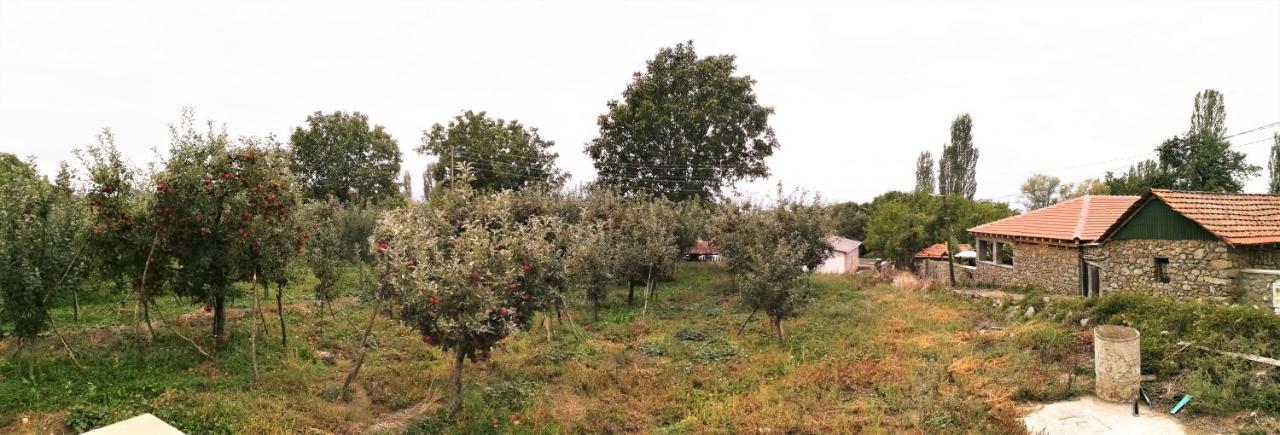 Villa Lila Dolno Dupeni Dış mekan fotoğraf