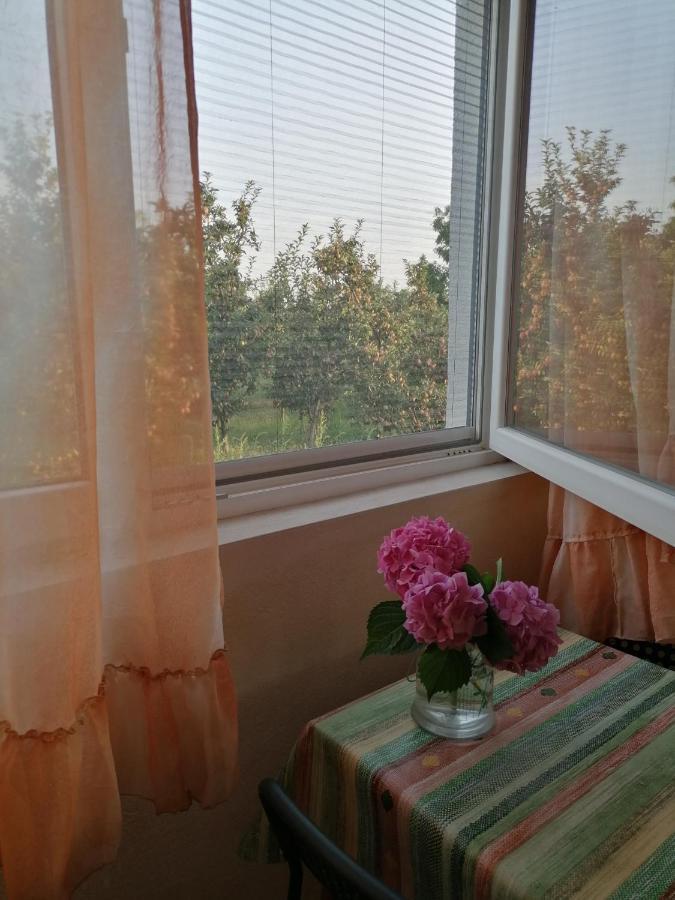 Villa Lila Dolno Dupeni Dış mekan fotoğraf